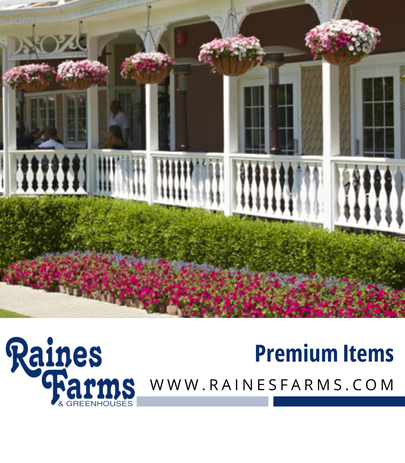 Premium Items